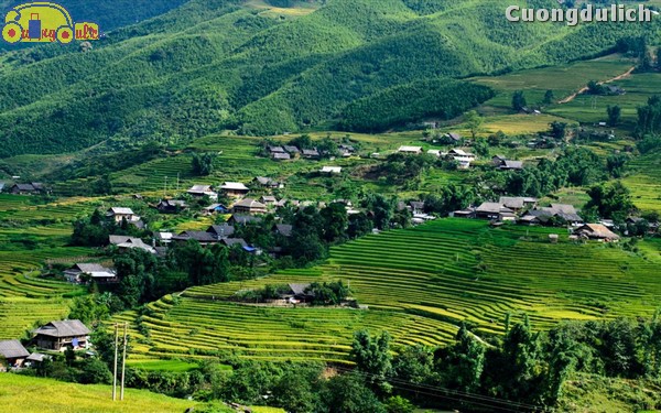 sapa