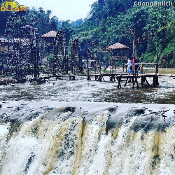 sapa_6