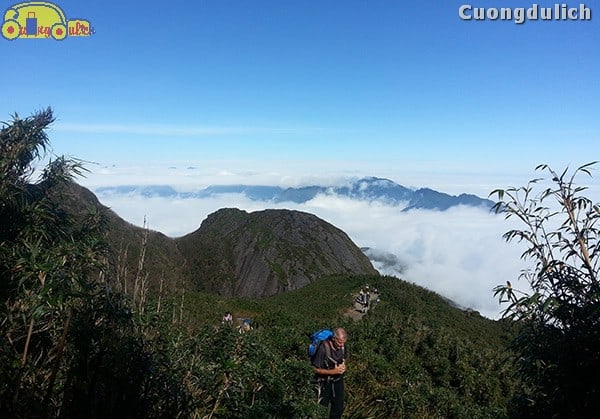sapa_16