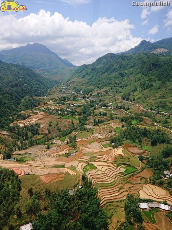 sapa_4