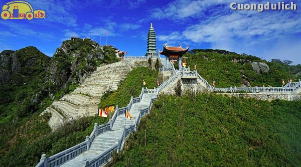 sapa_3