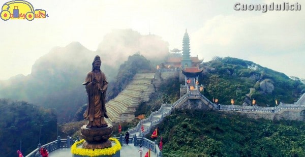 sapa_8
