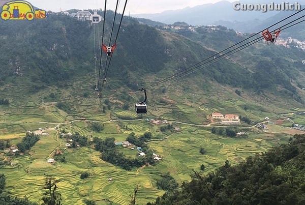 sapa_23