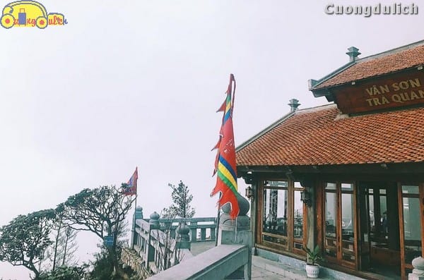 sapa_22