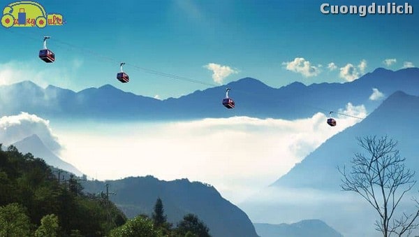 sapa