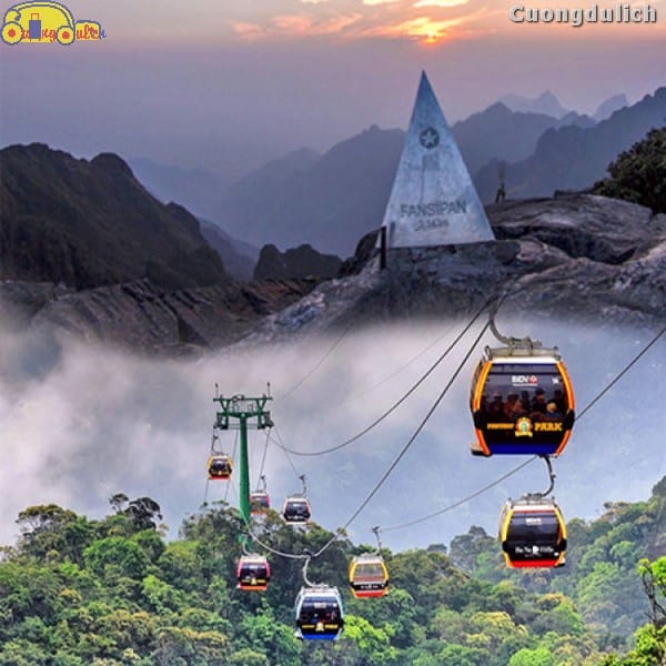 sapa_2