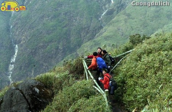 sapa_2