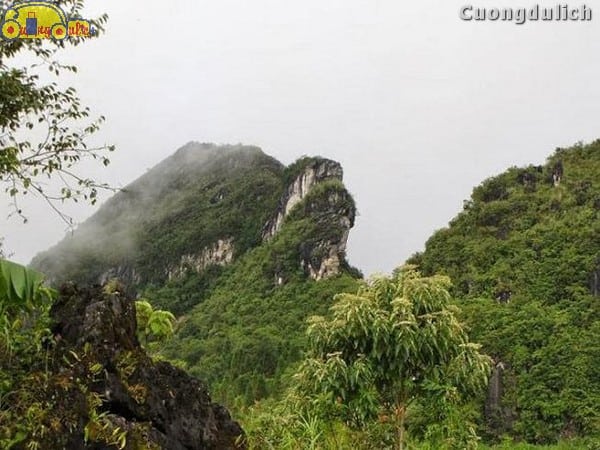 sapa