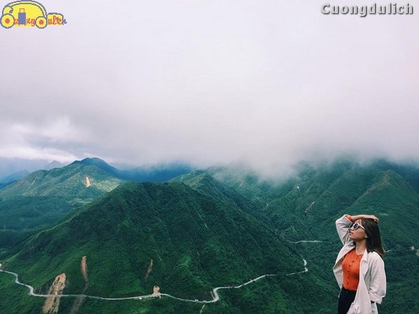 sapa_3