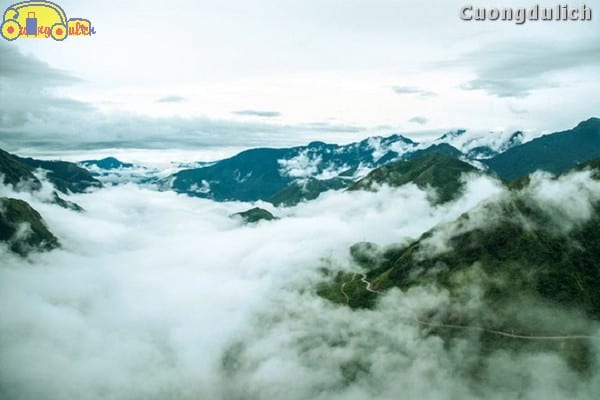 sapa_5