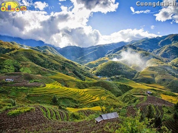 sapa_6
