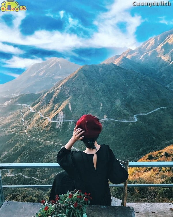sapa_10