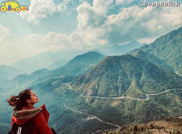 sapa_11