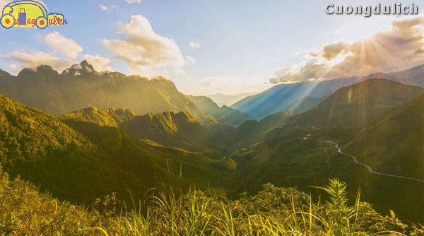 sapa_14