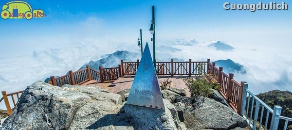 sapa_8