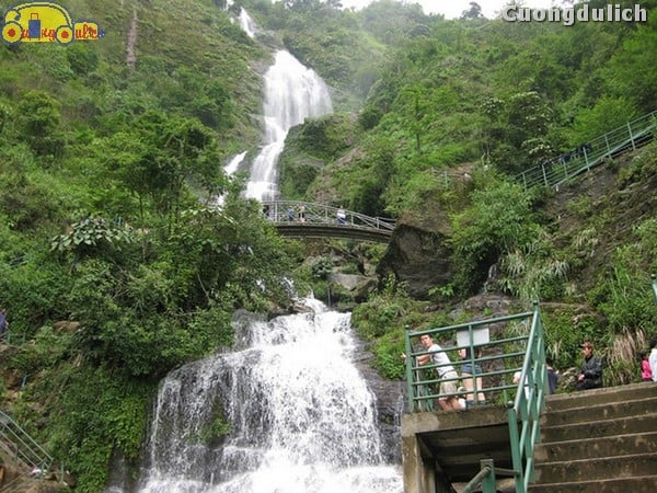 sapa_3