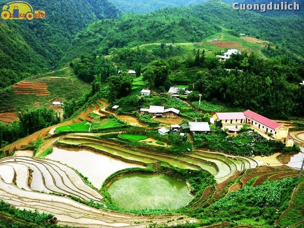 sapa_6
