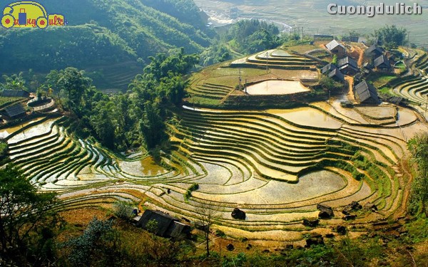 sapa_5