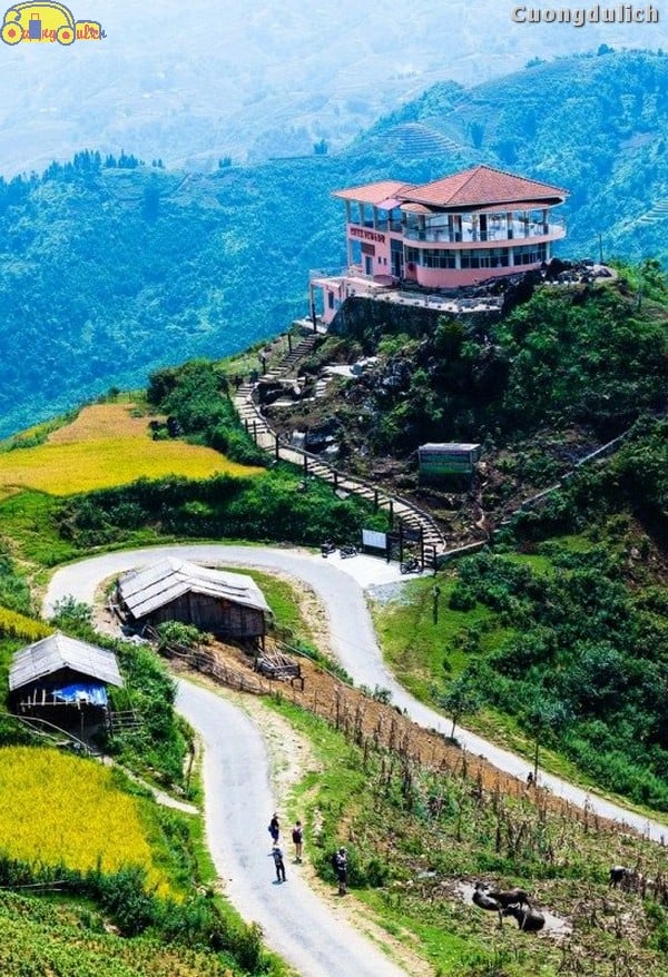 sapa_9