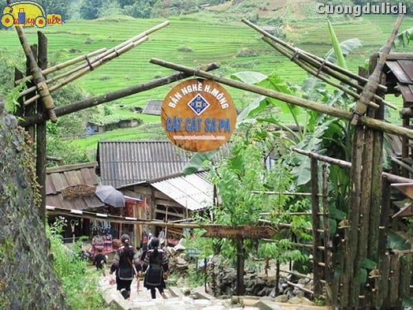 sapa_30