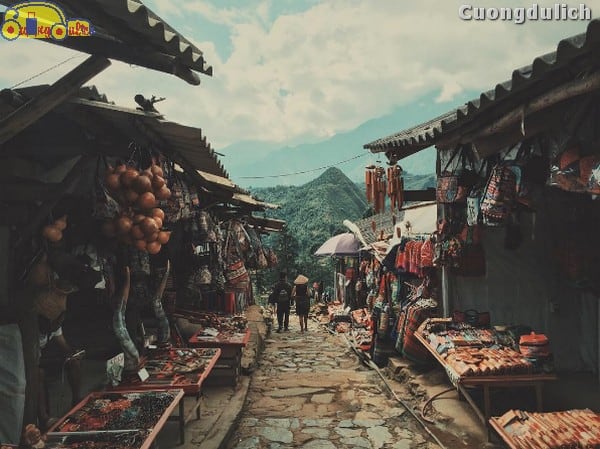 sapa_12