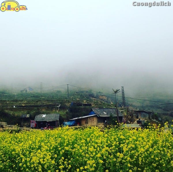 sapa_15
