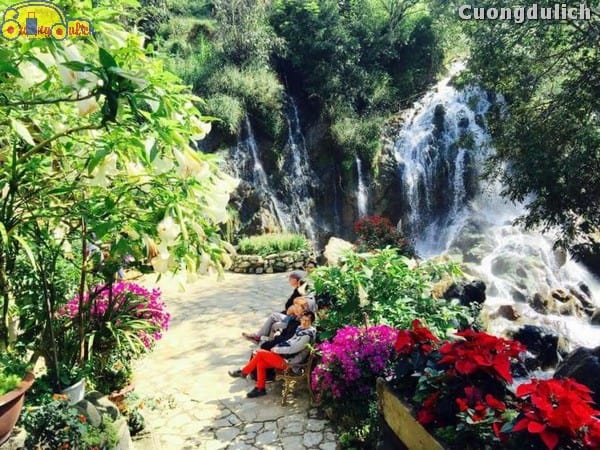 sapa_27