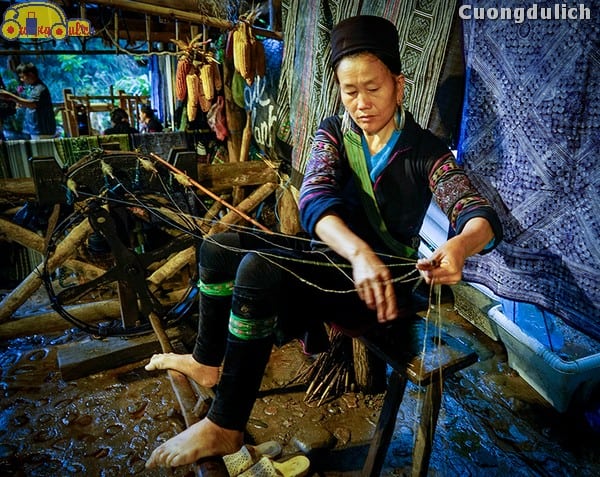 sapa_2
