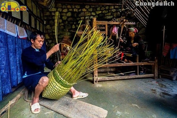 sapa_22