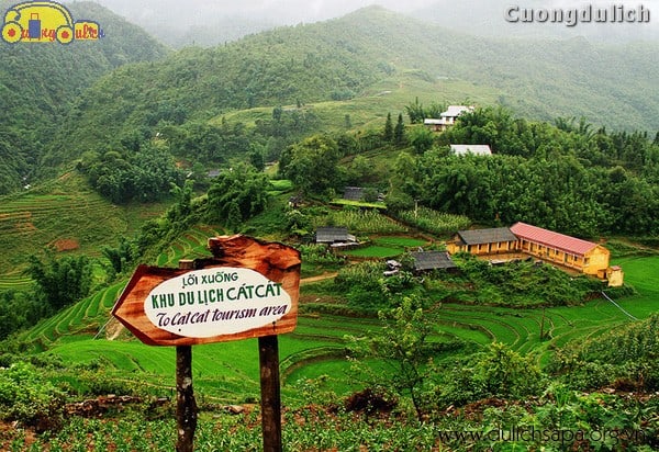 sapa_24