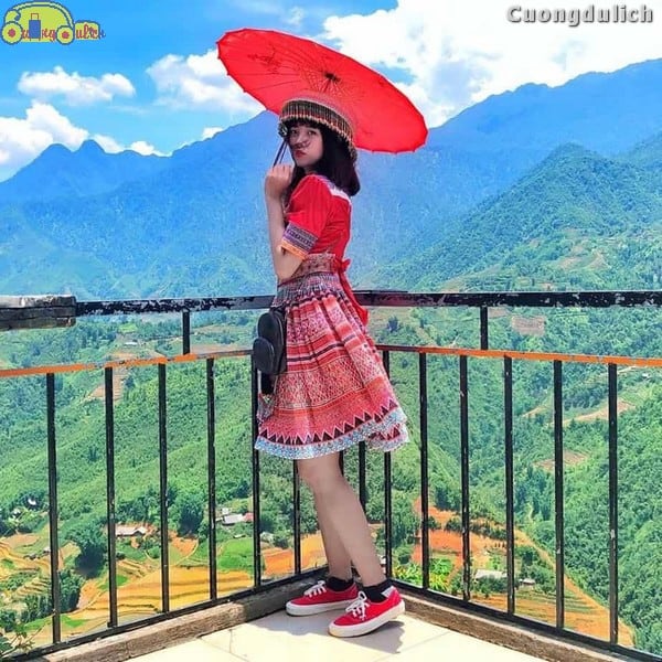 sapa_29