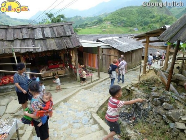 sapa_20