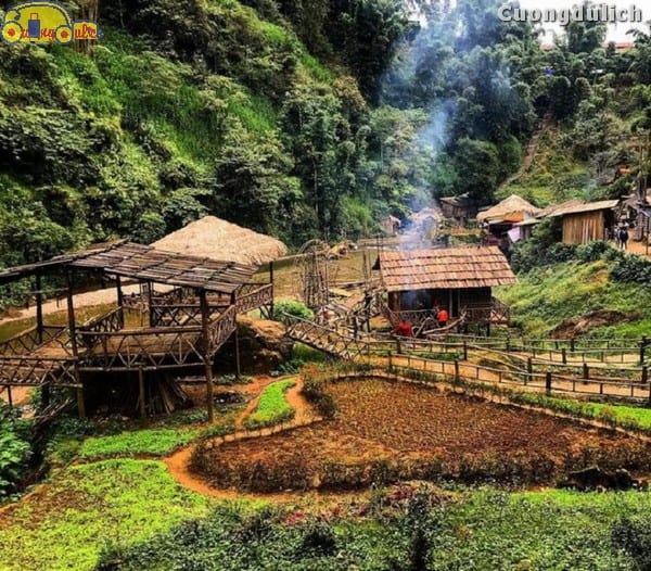 sapa_31