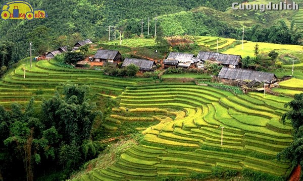sapa_2