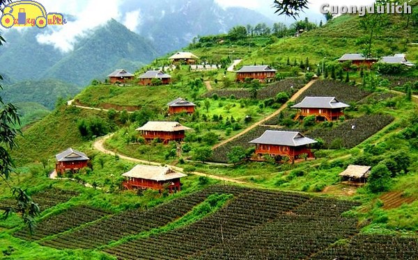 sapa_3