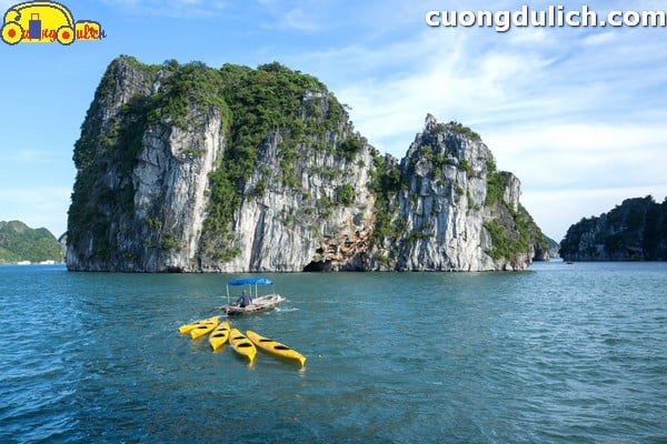 vinh-Bai-Tu-Long00003