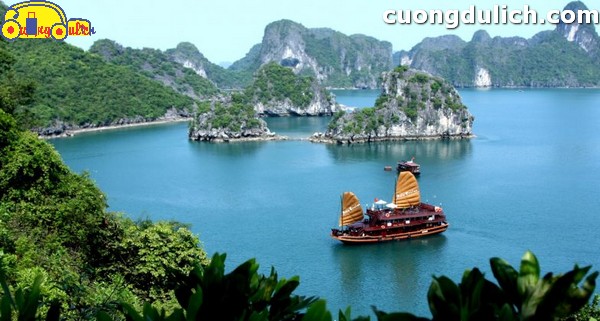 vinh-Bai-Tu-Long00011