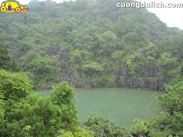 vinh-Bai-Tu-Long00031