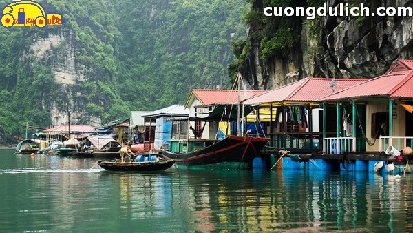 vinh-Bai-Tu-Long00022