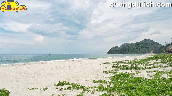vinh-Bai-Tu-Long00018