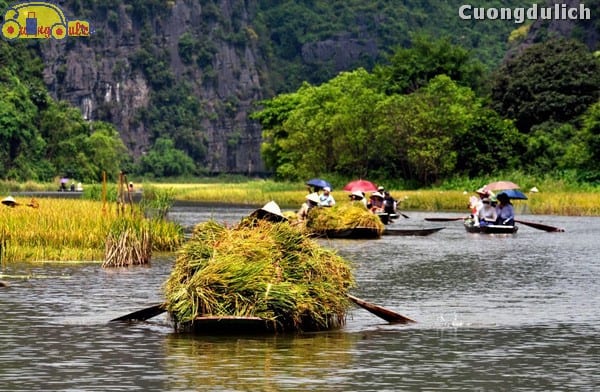 ninh-binh_21