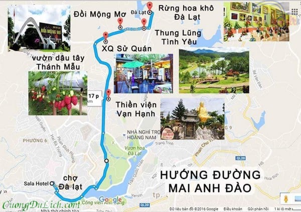 cac-huong-tham-quan-o-da-lat-cuong-du-lich-4