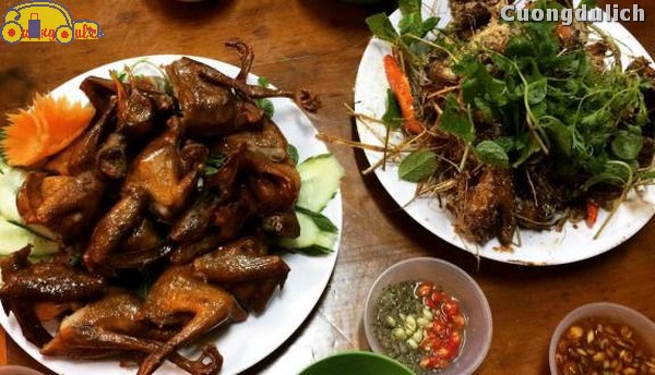 ninh-binh_4