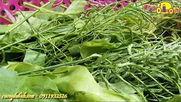 dac-san-kinh-di-nhat-tay-bac-06