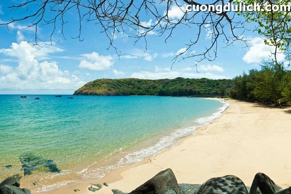 chua-ho-quoc00006