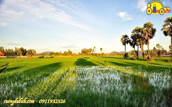 Cho-Chau-Doc-Mien-Tay-2019-29