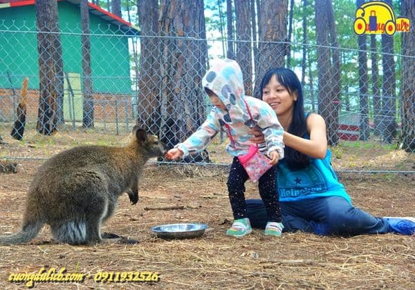 Zoodoo-Da-Lat-2019-02