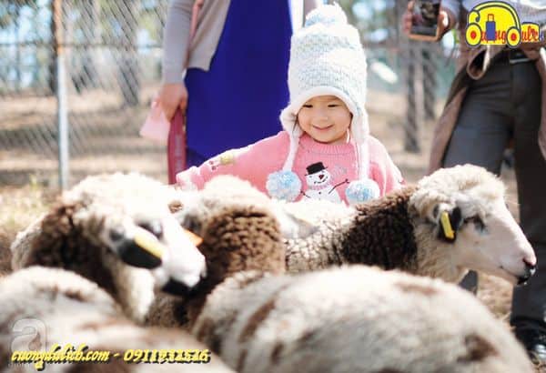 Zoodoo-Da-Lat-2019-21