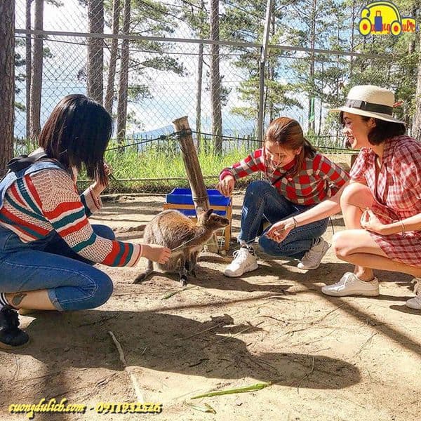 Zoodoo-Da-Lat-2019-12