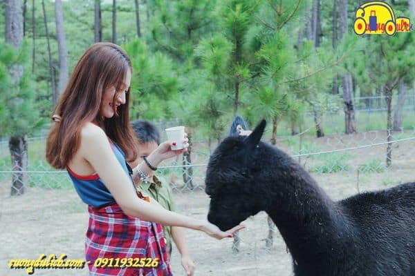 Zoodoo-Da-Lat-2019-05